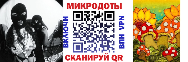 Псилоцибиновые грибы Cubensis  Конаково 